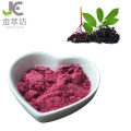 top quality water soluble elderberry juice powder